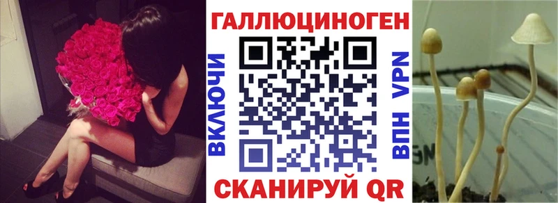 наркошоп  Кольчугино  Псилоцибиновые грибы Magic Shrooms 